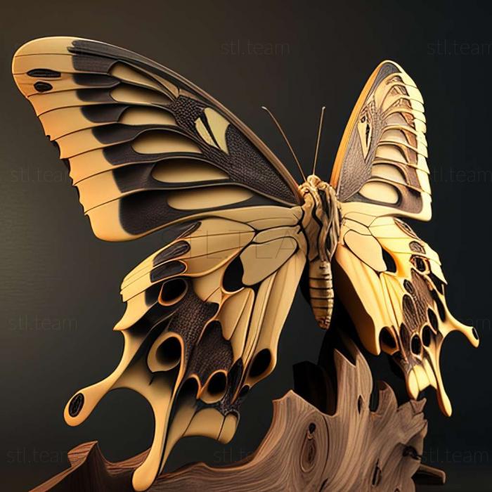 Animals Papilio woodfordi